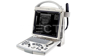 Аппарат УЗИ Mindray DP-20 Vet