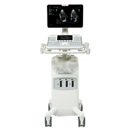Аппарат УЗИ Esaote MyLab X5